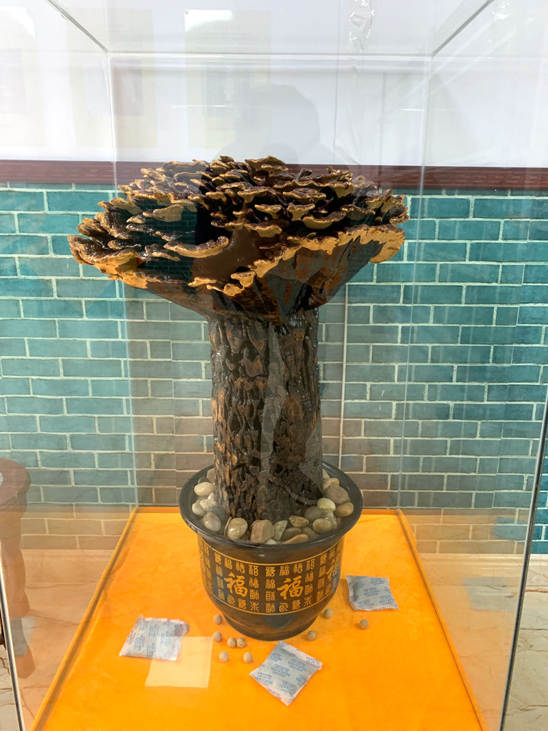 1731995369883509.jpg IMG_0332.JPG