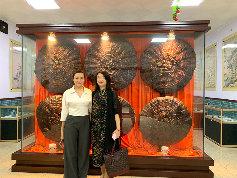 1731995422323074.jpg IMG_0307.JPG