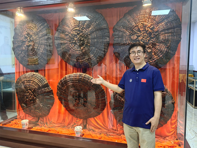 1731995435705304.jpg 7bddcc8684784788070396766682049.jpg