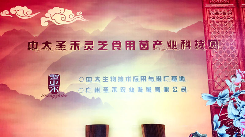 1731995463653888.jpg IMG_E0258.JPG