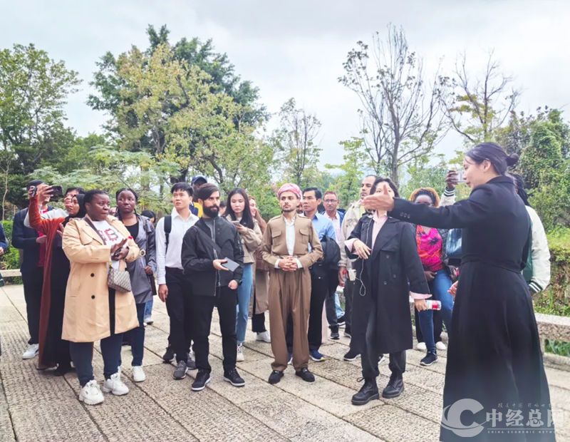 1732199295341230.jpg 1_副本.jpg