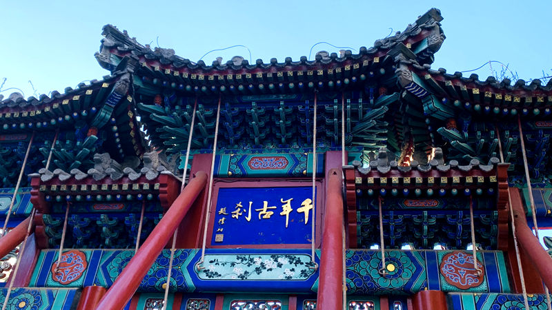 1732709068832477.jpg 微信图片_20241127195127.jpg