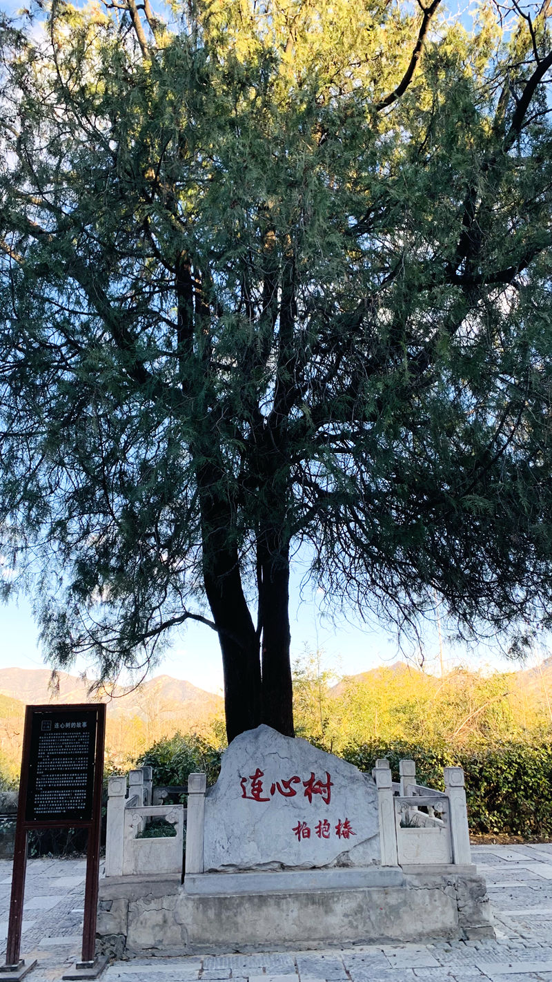 1732709327671207.jpg 微信图片_20241127194934.jpg