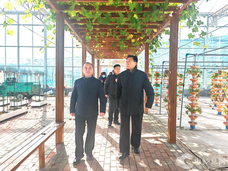 1732781969953188.jpg 1.jpg