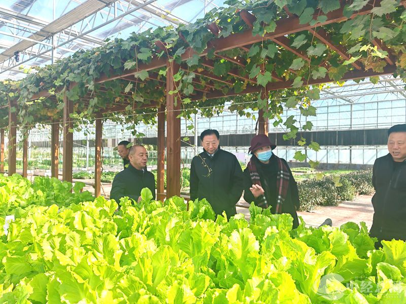 1732781981203632.jpg 2.jpg