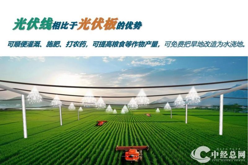 1732874077866623.jpg 图片3.jpg