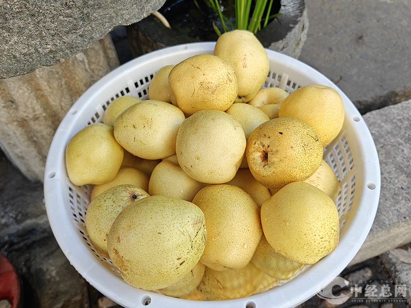 1733067991565616.jpg 3.jpg