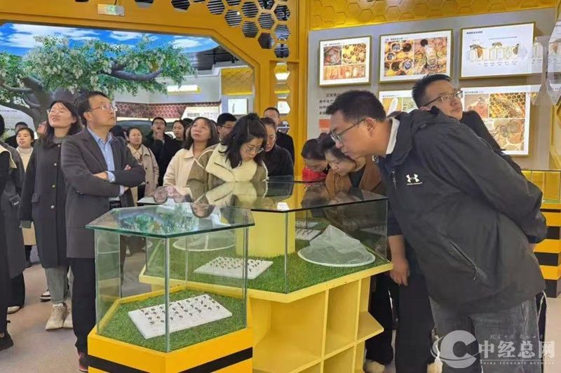 1733307048397679.jpg 微信图片_20241204174837.jpg