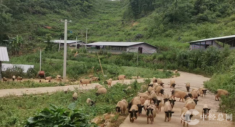 1734139003863123.png 图片3.png