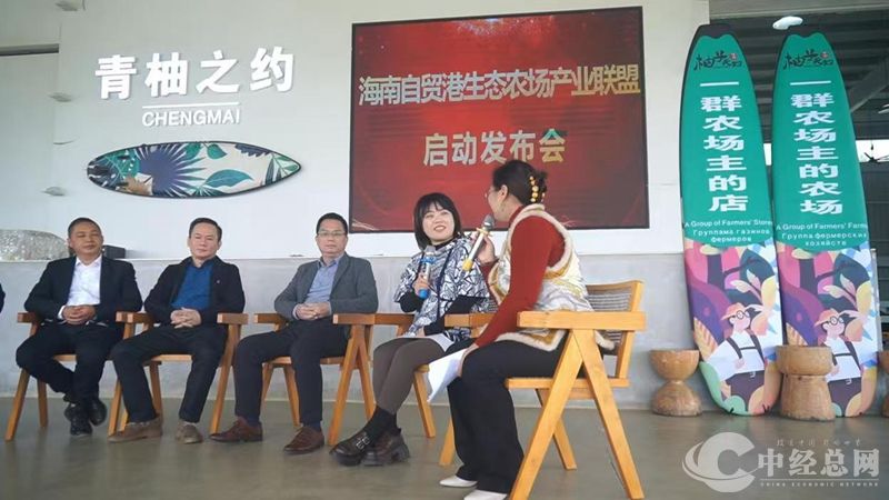 1734432551737795.jpg 04_副本.jpg