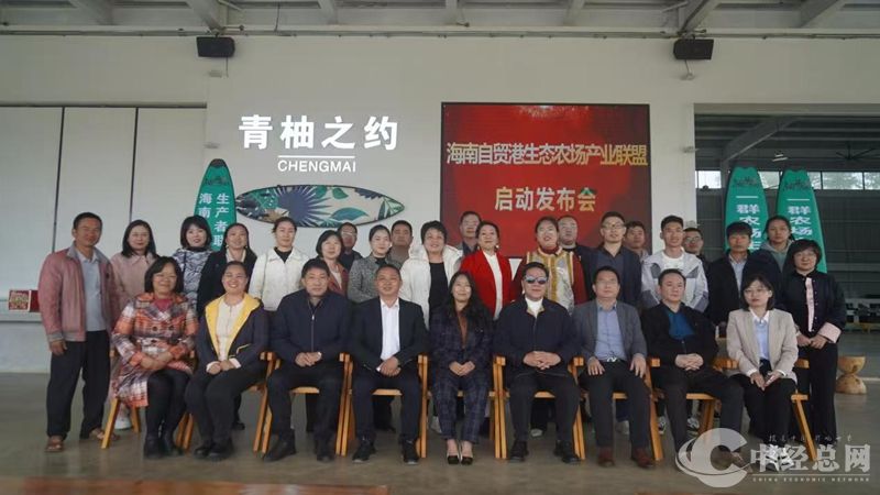 1734432586302940.jpg 07_副本.jpg