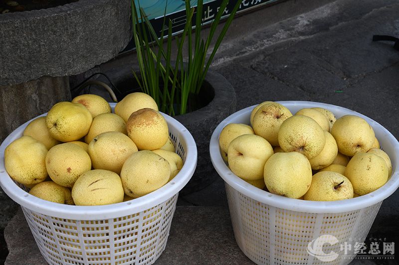 1734869758200292.jpg 4.jpg