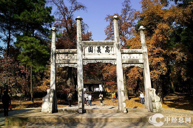 1735401398102606.jpg 1.jpg