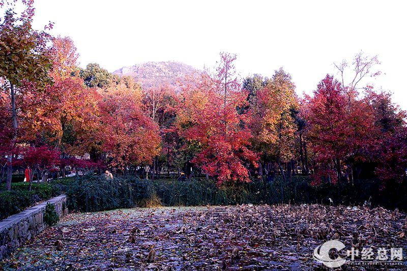 1735401416330222.jpg 3.jpg