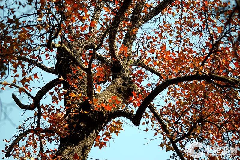 1735401447369209.jpg 5.jpg