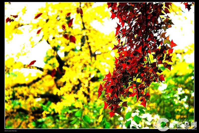 1735401640285860.jpg 16.jpg