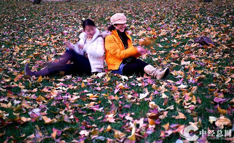 1735401663143837.jpg 18.jpg