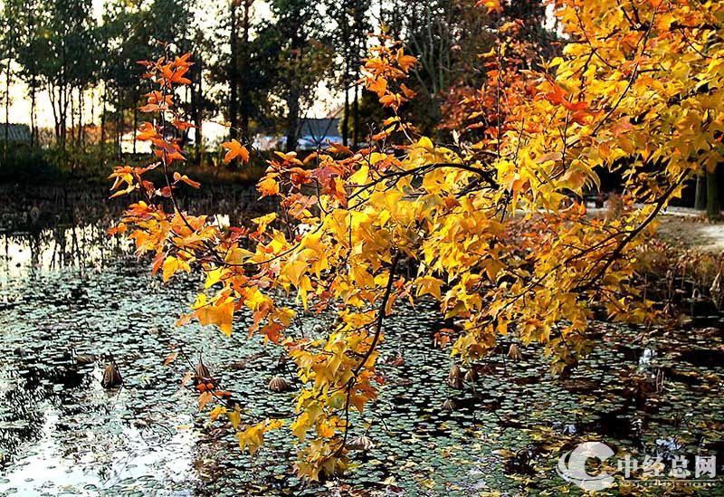 1735401676848345.jpg 19.jpg