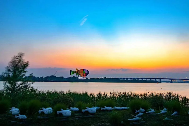 1737700266632544.jpg 31_副本.jpg