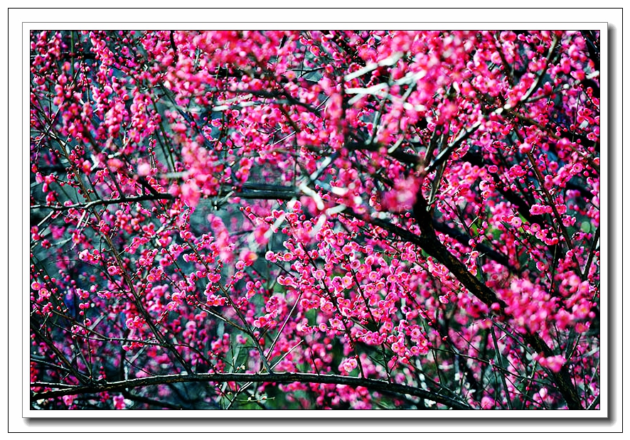 1739149716255331.jpg 3_副本.jpg