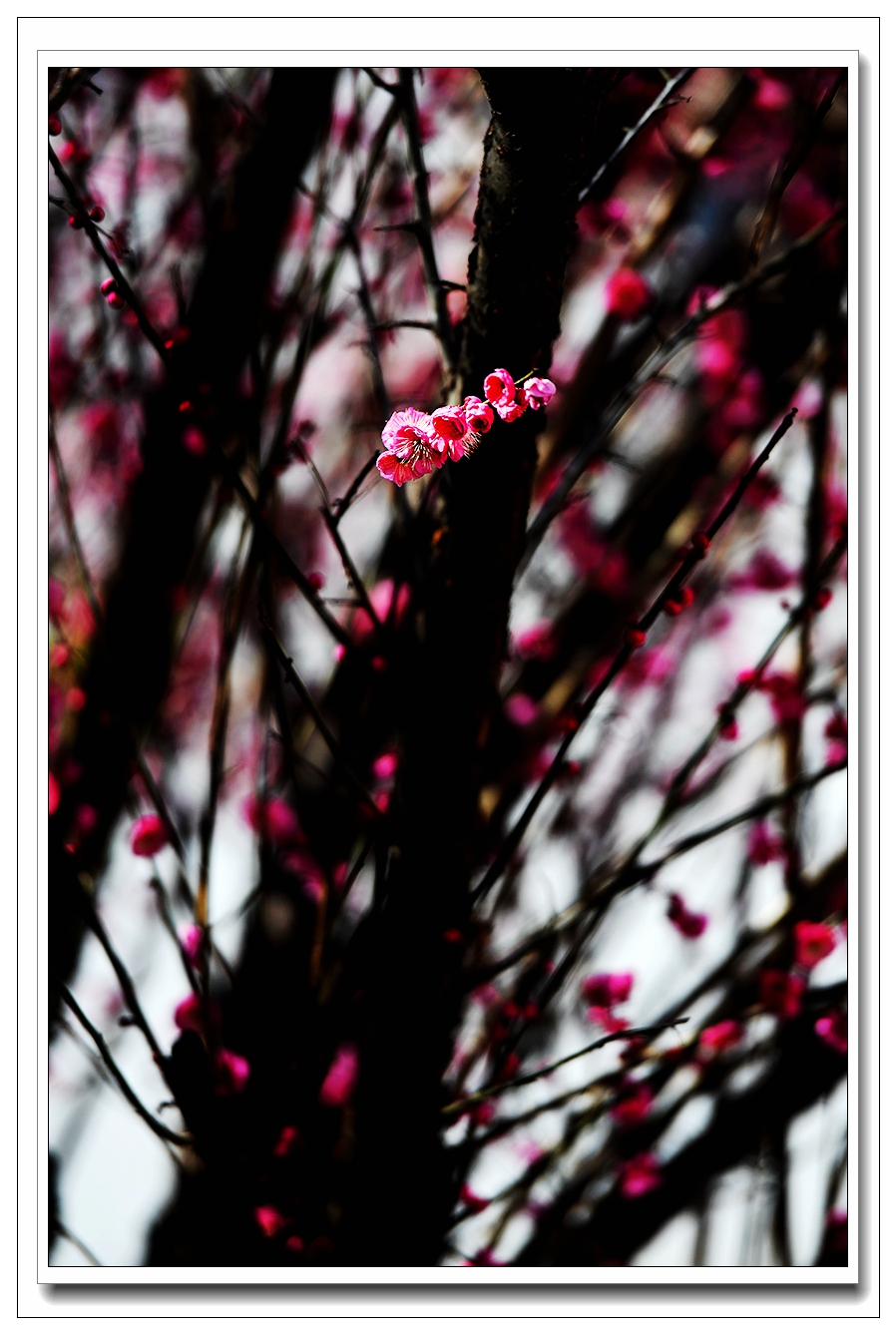 1739149765537888.jpg 2_副本.jpg