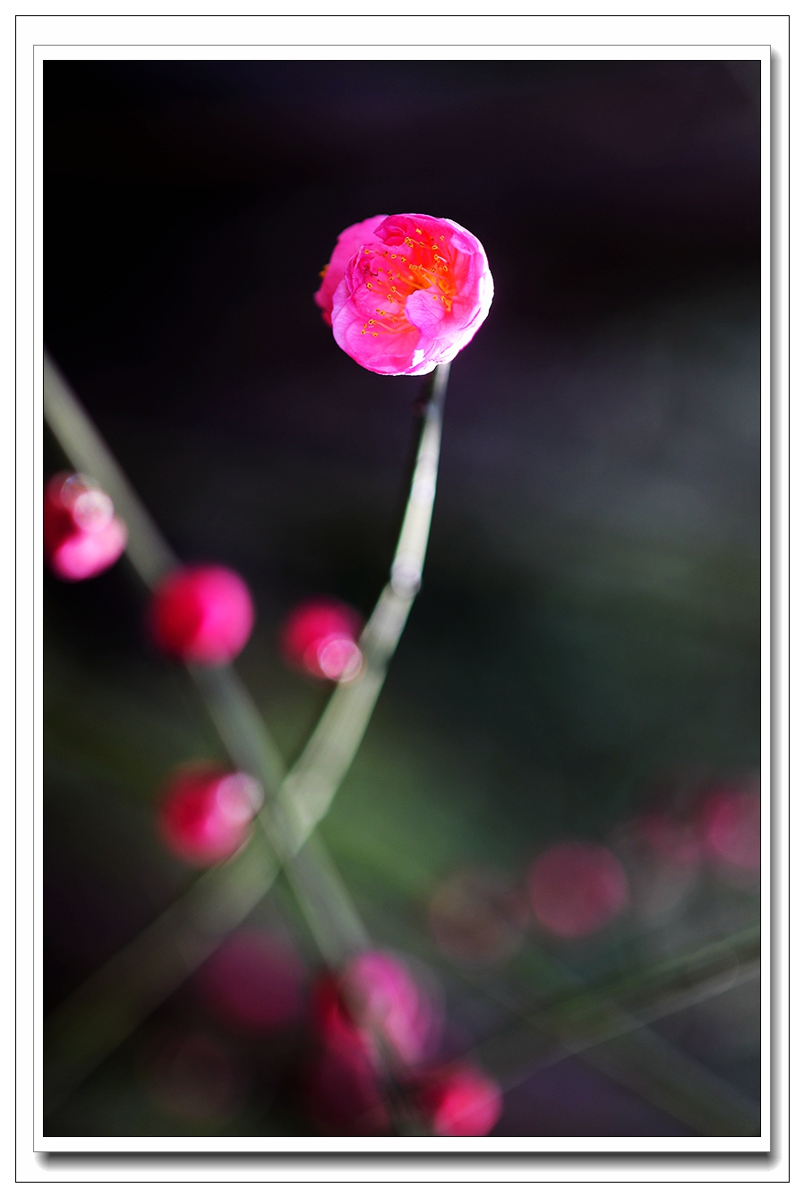 1739149806249318.jpg 7_副本.jpg