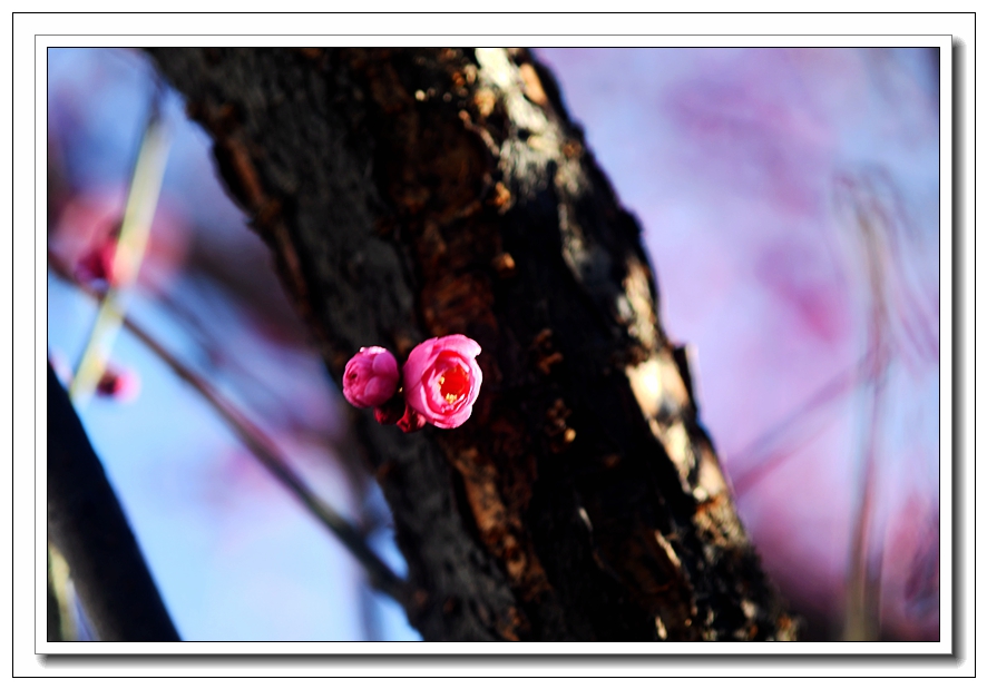 1739149870405522.jpg 10_副本.jpg