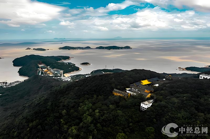 1739346533947042.jpg 4.jpg