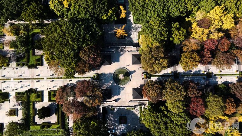 1739346560405695.jpg 6.jpg