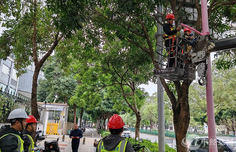 1739361694506975.png 图片11.png