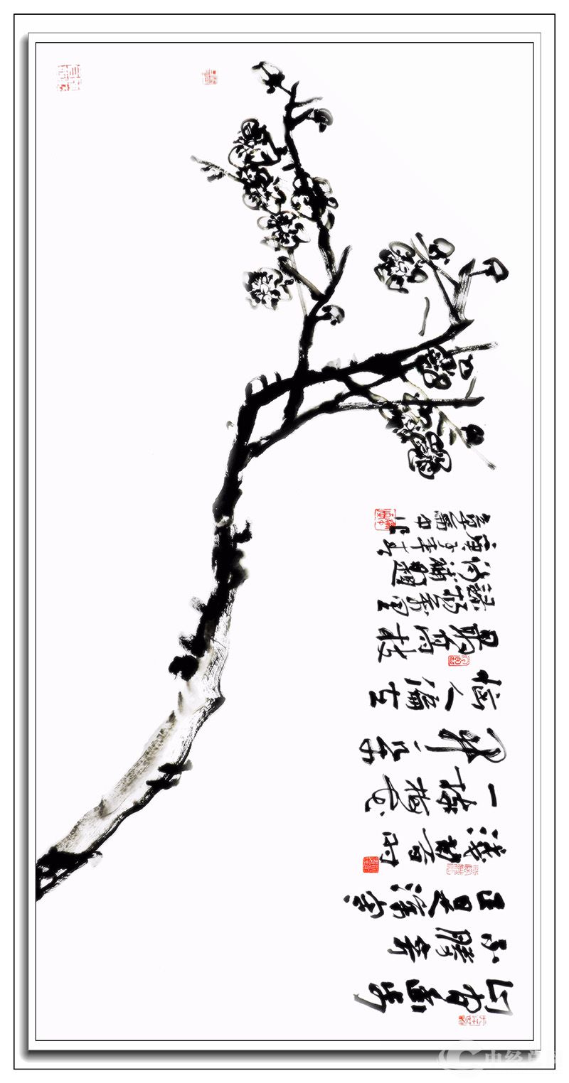 1739812829821777.jpg 4.jpg