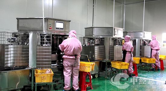1740492191956444.jpg 微信图片_20250225204834.jpg