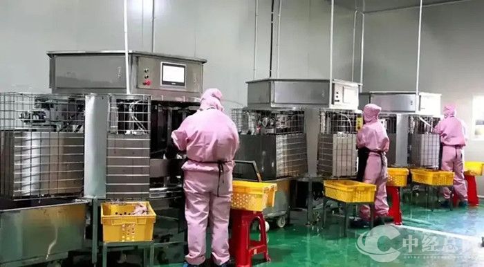 1740877518581757.jpg 微信图片_20250302090415.jpg