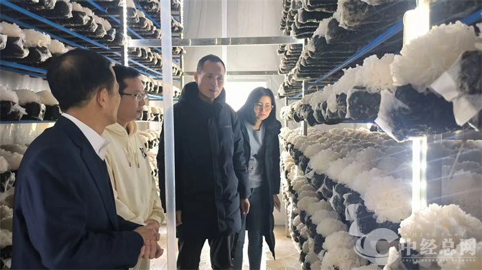 微信图片_20250310082452.jpg