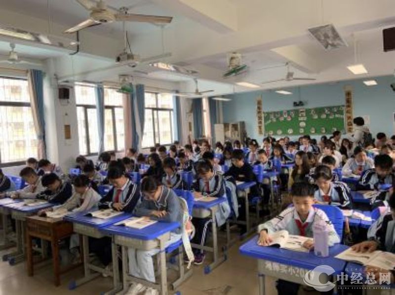 1741750229283096.jpg 图片4.jpg