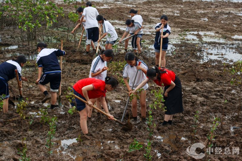 1741783473953609.jpg 植树 (2).jpg