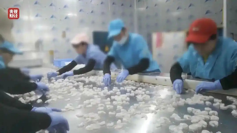 1742085410729033.jpg 1_副本.jpg