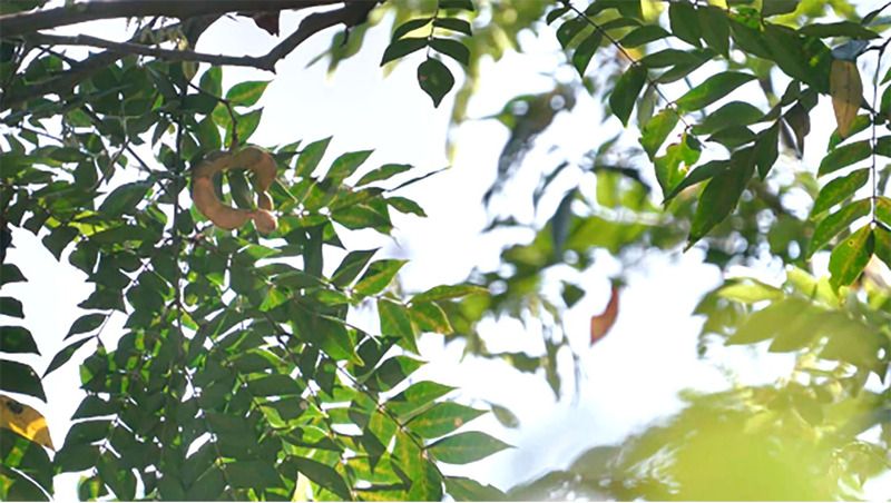 1743478644144420.jpg 1_副本.jpg