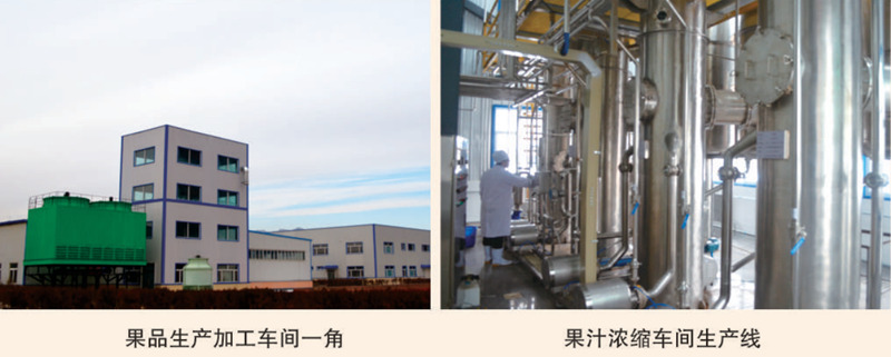 1743486043280384.jpg 3_副本.jpg