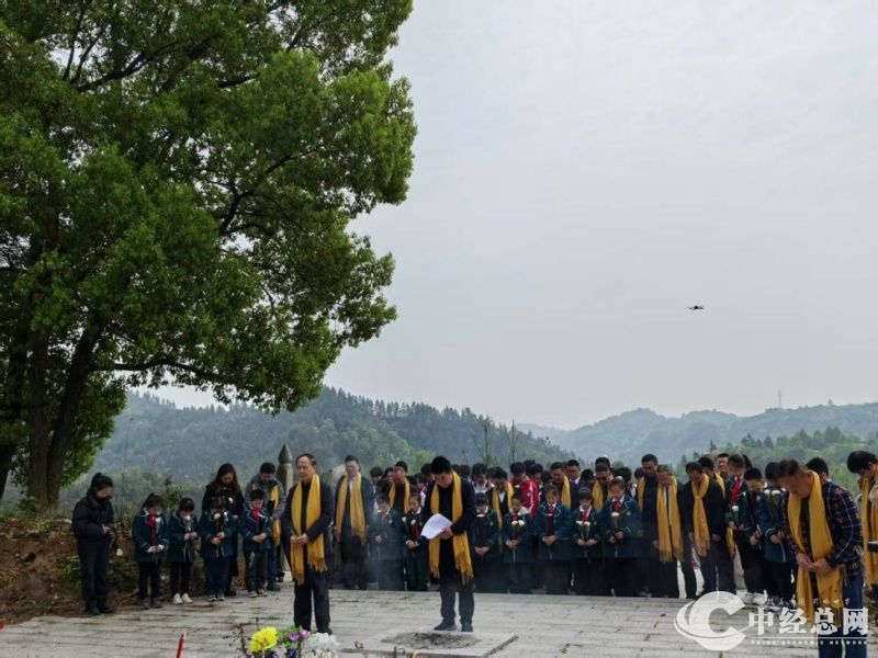 1743669352373296.jpg 2.jpg