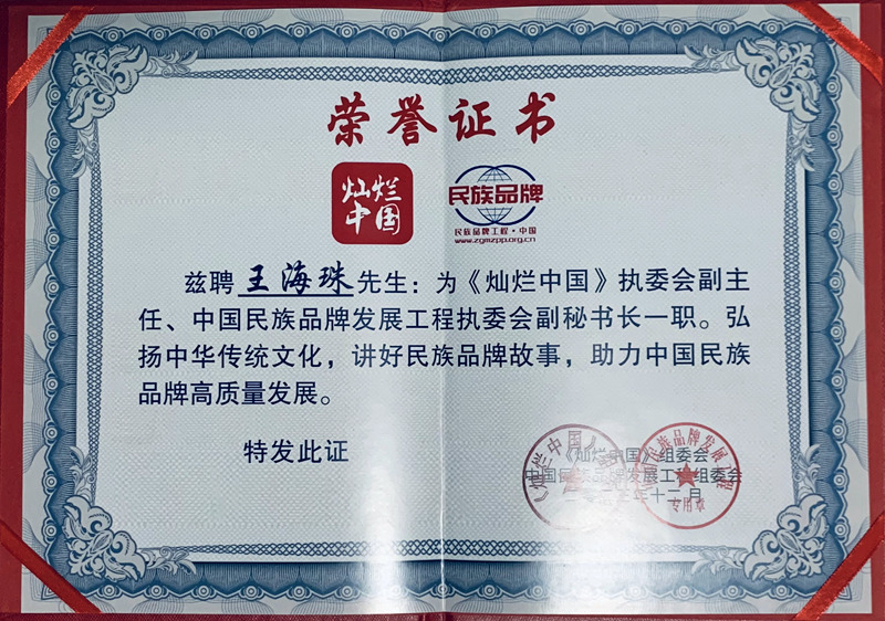 灿烂中国 聘书.jpg