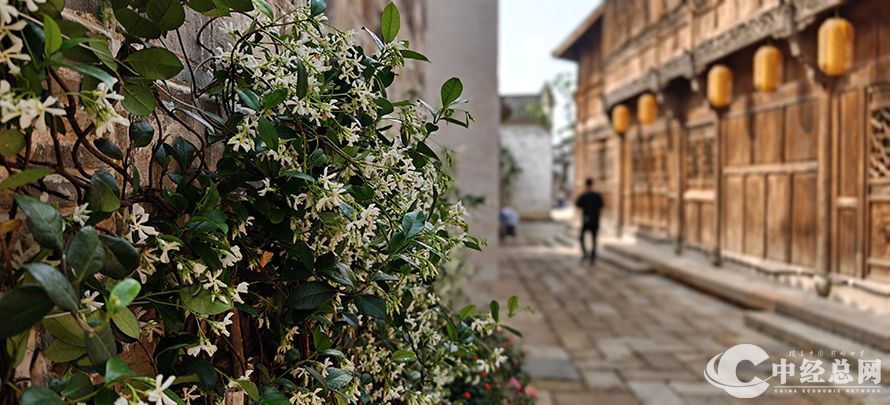 1746120299900635.jpg 10A.jpg