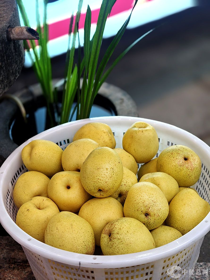 1746287340741146.jpg 4.jpg