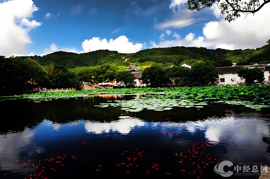 1747382608200496.jpg 11.jpg