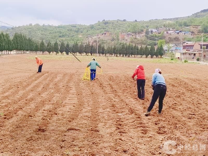 1747474550663447.jpg 微信图片_20250514152204.jpg