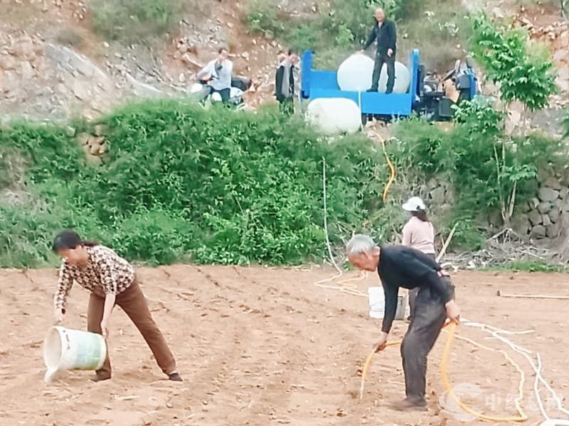 1747474595549449.jpg 微信图片_20250514121813.jpg