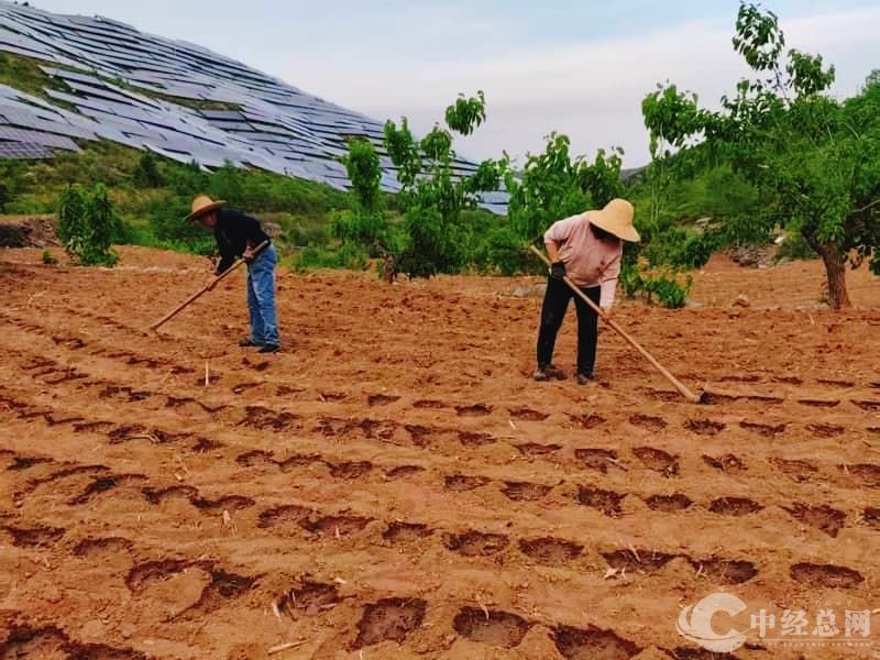 1747474713514665.jpg 微信图片_20250514152341.jpg