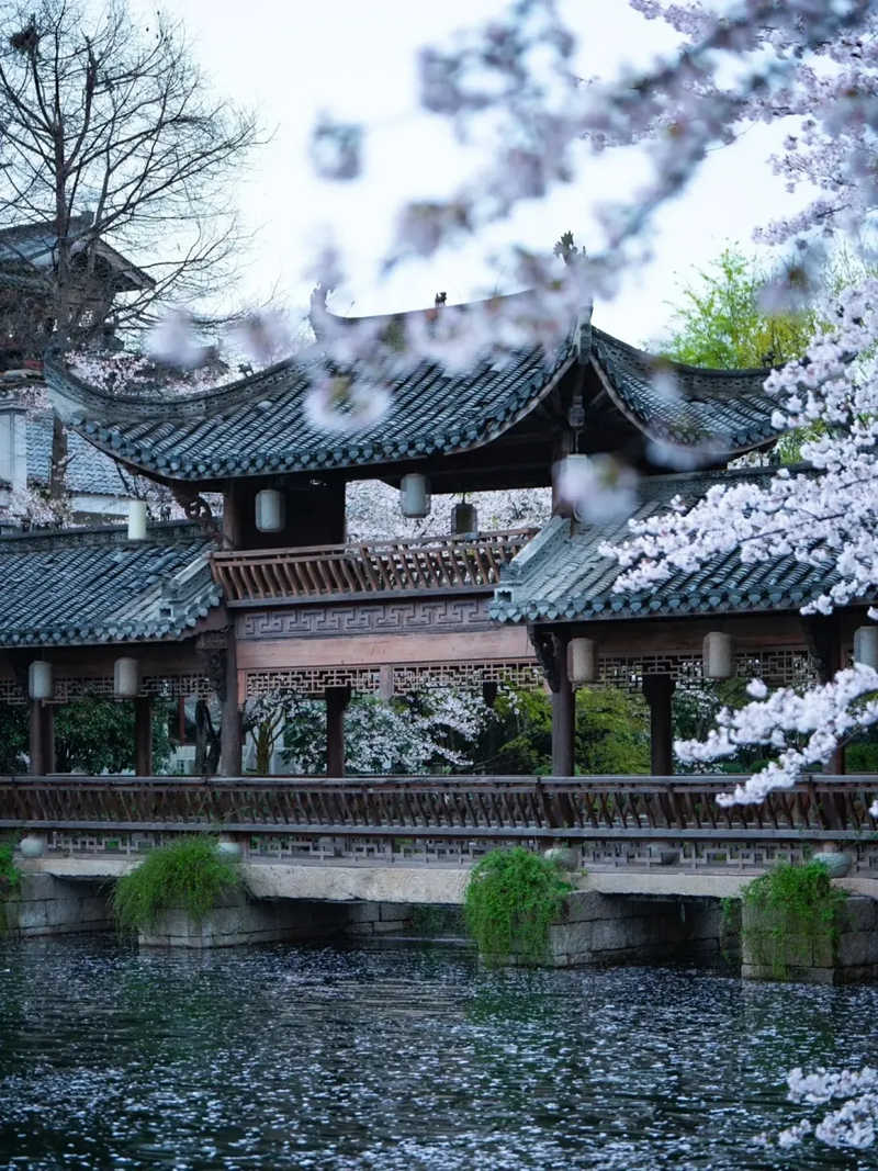 1747542317406701.jpg 3_副本.jpg