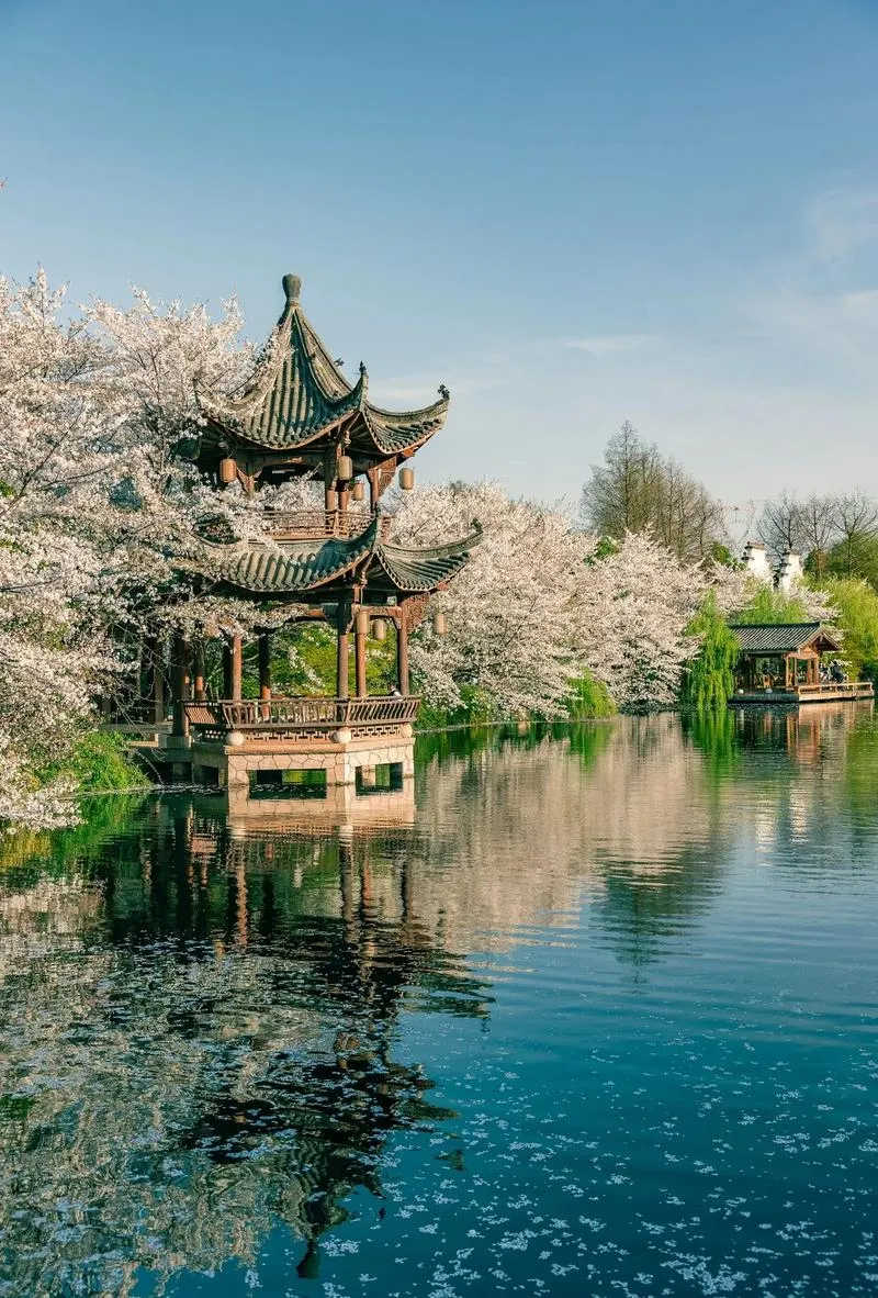 1747543046216802.jpg 5_副本.jpg