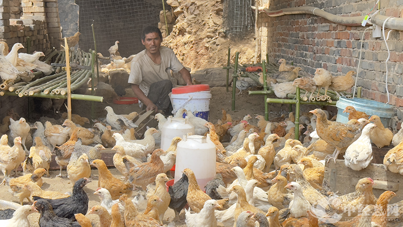 1747668190282686.png 图片6.png